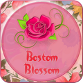 Boston Blossom