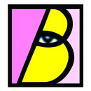 BOSTON COMPUTER WASHIM APK