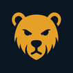 BoS VPN icon