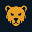 BoS VPN APK