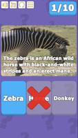 Quizplorer Picture Screenshot 2