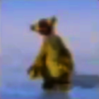Bora Toma Uma icon