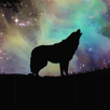 Shamanic Oracle Cards APK