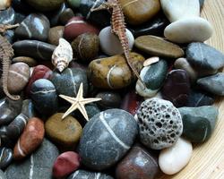 Pebbles Wallpapers syot layar 3