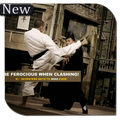 Best Wing Chun techniques
