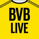Borussia Dortmund Taraftar
