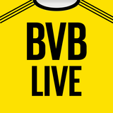 Borussia Dortmund Fan