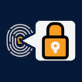 MobiVisor VPN