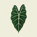 BotaniSense - Grow with AI APK