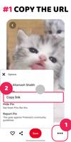 Video Downloader for Pinterest 海報