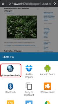 Image Downloader All - Search 海报