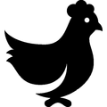 BotiBoti