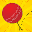 Road Ball Race-APK
