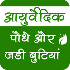 Ayurvedic Plants & Herbs Infor icono