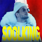 New SOOLKING-icoon