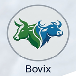 boviX