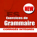 Exercices de grammaire française APK
