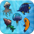 Aquarium Pairs