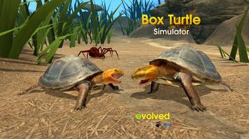 Box Turtle Simulator Affiche