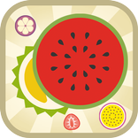 Fruits Box