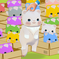 Box Kitty Jam 3D