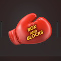 BOX and Blocks