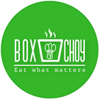 Box Choy icône