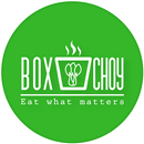 Box Choy-APK