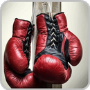 APK Boxing Wallpapers