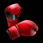 Boxing Heavyweight Champions icône