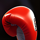 boxing simulator street fight APK