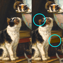 Find the Differences Classic APK