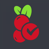 Planberry icône