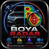 BoyaRadar - Araç Boya Analizi APK