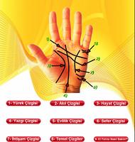 el falı ảnh chụp màn hình 2