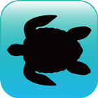 블루래빗바다 icon
