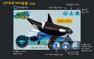 블루래빗바다 Plakat