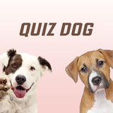 Quiz Dog - Guess the breed