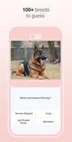 Quiz Dog ポスター