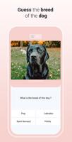 Quiz Dog スクリーンショット 1