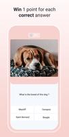 Quiz Dog スクリーンショット 2