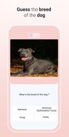 Quiz Dog スクリーンショット 3