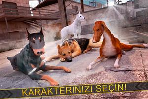 Evcil Hayvan Oyunlar Ücretsiz Ekran Görüntüsü 3