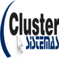 Cluster Partners