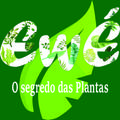 Ewé Folhas