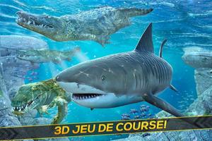 Combat Requin & Crocodile Affiche