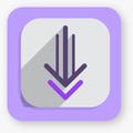 Video Downloader & Story Saver