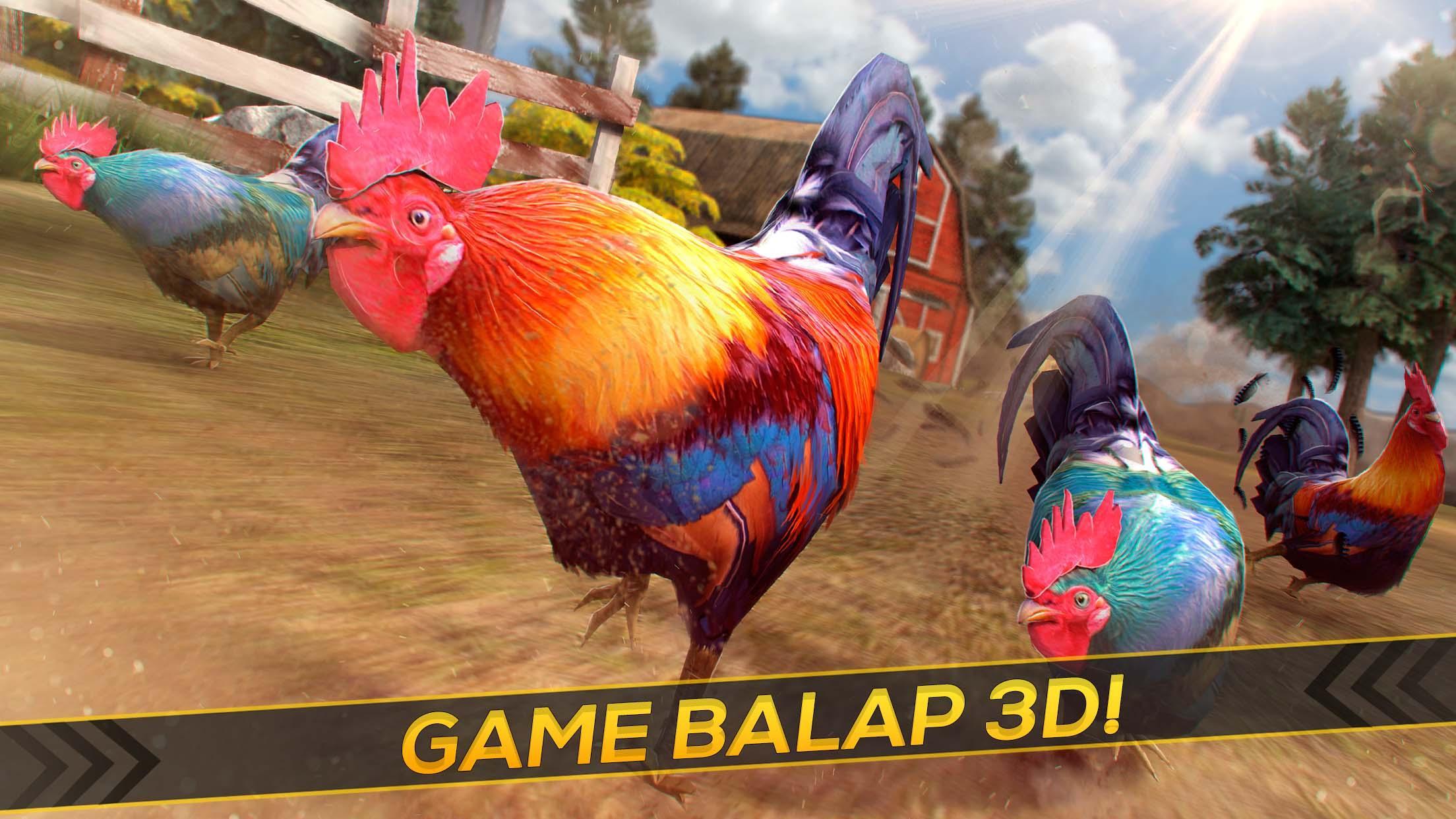 Balap Ayam Jago Gila Tanah Peternakan Ras For Android Apk Download