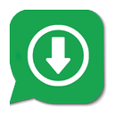 Zap Story - Salva Status(stories)-APK