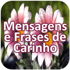 Mensagens e Frases de Carinho biểu tượng